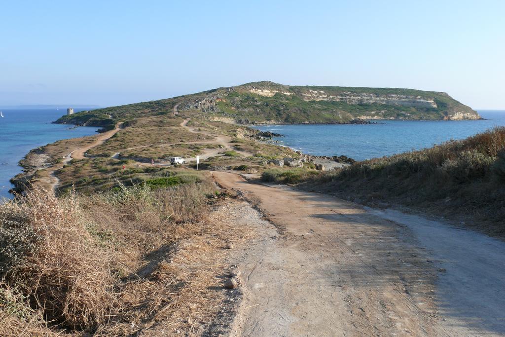 B&B Il Mirto Oristano Bagian luar foto